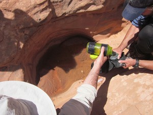 Drinking water from sandstone pothole